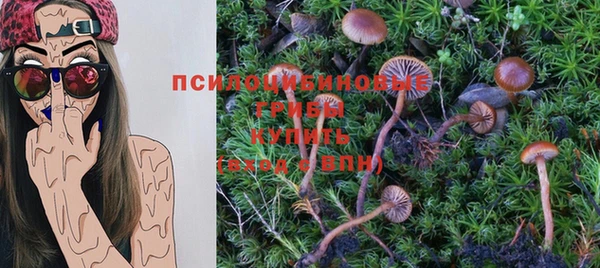 дживик Волосово