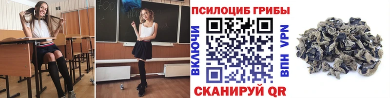 Псилоцибиновые грибы Psilocybine cubensis Кропоткин