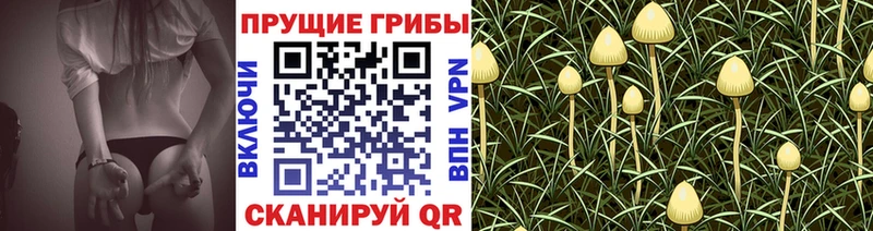 Псилоцибиновые грибы мухоморы  Купить где  Кропоткин 